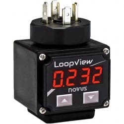 LoopView